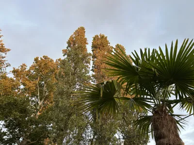 Vitorlázás a Balatonon és Adrián