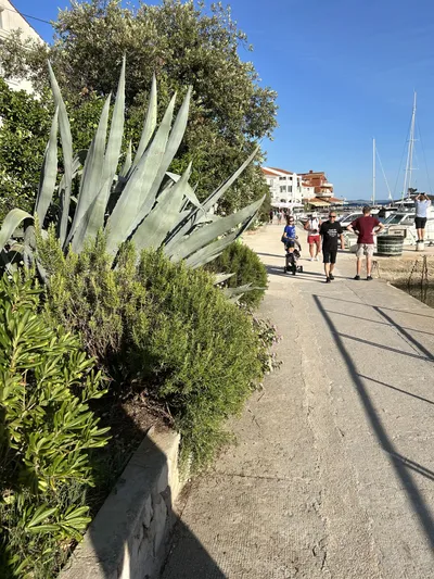 Vitorlázás a Balatonon és Adrián